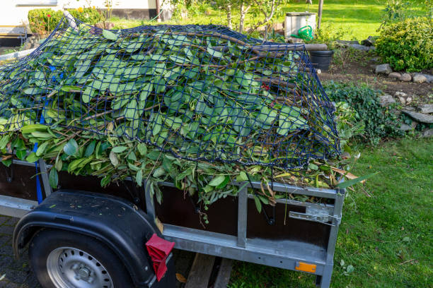 Best Commercial Junk Removal  in Albion, MI